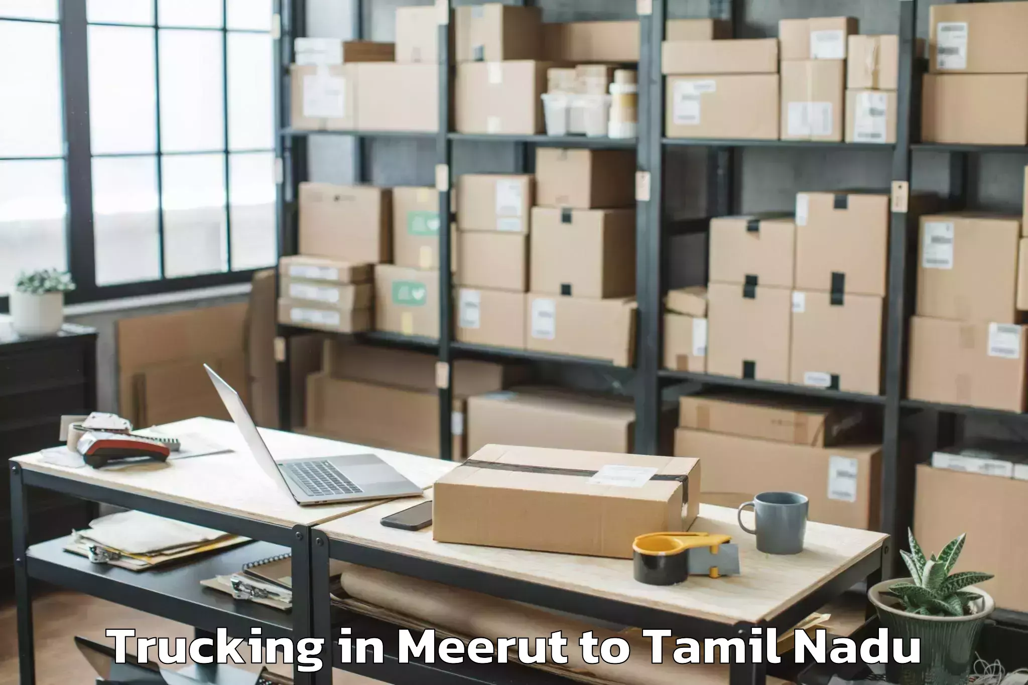 Top Meerut to Narasingapuram Trucking Available